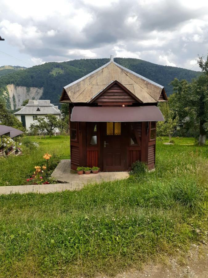 Kатруся Hotel Jaremcse Kültér fotó